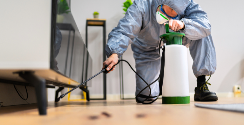 🐜 What’s Really Attracting Pests into Your Home (And How to Stop It) --nepali 🐜 तपाईंको घरमा कीराहरू किन आउँछन्? (र तिनीहरूलाई कसरी रोक्ने)